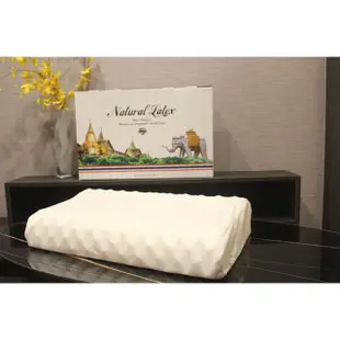 NATURAL LATEX 金大象泰國乳膠枕(按摩款)