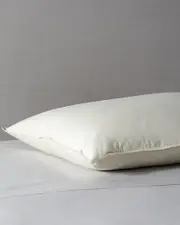 Belle Epoque Proprietors Soft Fill Down Pillow Standard NoColor