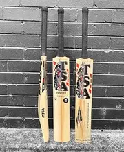 TSA Panther Edition English Willow Cricket Bat