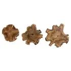 Set 3 Natural Wood Slices Wall Art | Live Edge Abstract Round Modern Plaques