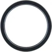 Crankshaft Rear Seal OSS0014