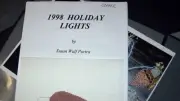 1998 HOLIDAY LIGHT BLUB Hand Painted Needlepoint Canvas w/ Instructions ~ COPPER
