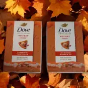 Dove Soap Holiday Treats Beauty Bar Soaps Cinnamon Pumpkin Pie Lot Of 2 New
