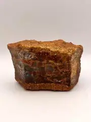Petrified Wood from Concho Arizona E