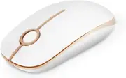 Wireless Mouse, 2.4G Slim Computer Mouse with Nano Receiver -White Gold