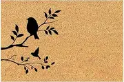 QAZIUY Door Mat All Weather Outdoor Mats for Front Door Front Door Mats Outdoor Interesting Bird Floor Mat Home Decoration Indoor Outdoor Door Mats for Home Front or Back Entrance 16x24IN