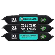 DUDE Wipes - Flushable Wipes 3 Pack 144 Wipes, Mint Chill, Extra-Large Wet Wipes