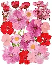 35 Pcs Dried Pressed Flowers for Resin, Pink Real Pressed Flowers Bulk Natural Herbs Kit for Scrapbooking DIY Art Crafts, Epoxy Resin Jewelry Molds, Candle, Soap Making, Nails Décor