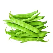 Bean Bush - Roma II seeds