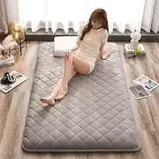 Futon Mattress Japanese,Portable Mattress,Tatami Mat Sleeping Bed Pad,Long Day Cotton Fill Sleeping Mattress,Mattress for Floor Guest Bed Sofa,Double Single (Color : Elegant Grey, Size : 100 * 200cm)