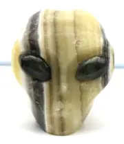 XL Enticing Black and Yellow ZEBRA JASPER Stone ALIEN Head with LABRADORITE Eyes