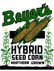 Beyer's Northern Grown Hybrid Seed Corn NEW METAL SIGN: 9x12" Free Shipping