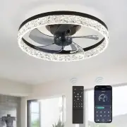 LEDIARY 20" Modern Ceiling Fans with Lights and Remote - Check Out the Options!