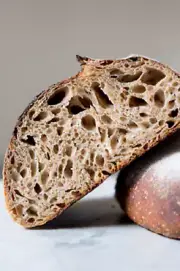 SAN FRANCISCO SOURDOUGH STARTER yeast flour bread mix wharf w/ recipes FRESH NOW