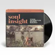 Soul Insight (Vinyl) (Import)