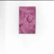 WIZARD OF OZ CREDIT CARD DEBIT CARD HOLDER PINK FABRIC