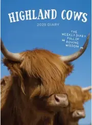 2025 Diary Highland Cows A5 Week to View WTV Planner Hardcover Spiral
