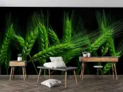 3D Wheat Food Green Wallpaper Wall Murals Removable Wallpaper 26