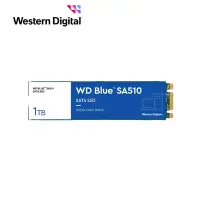 在飛比找Yahoo奇摩購物中心優惠-WD 藍標 SA510 1TB M.2 2280 SATA 