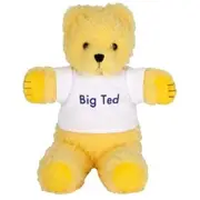 ABC Kids Play School Big Ted Beanie Soft Toy 25cm