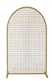 Gold Arch Mesh Backdrop