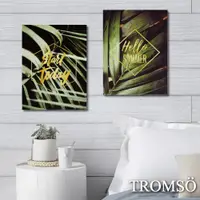 在飛比找松果購物優惠-TROMSO時尚無框畫-奢華金葉W265-30x40cm/兩