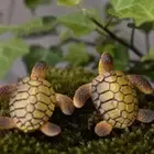 Landscape Flowerpot Decoration Landscape Prop Sea Turtle Model Layout Prop