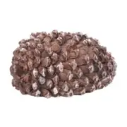 Discreet Money Stash Camouflaged Pine Cone for Spare Key Storage Cash Container