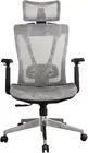 Executive Office Chair - Breathable Skin-Friendly Mesh, Ergonomic Designs with H