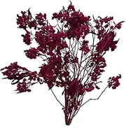 Frediuo Dried Flower Bouquet,Dried Flower Arrangements Dodonaea Viscosa Dry Flower Bundle for Bedroom Vase Wedding Decorating Kitchen , Rose Red