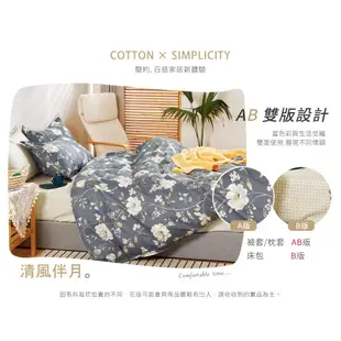 【FOCA清風伴月】單人/雙人/加大/特大-韓風設計100%精梳純棉薄枕套床包組/兩用被床包組