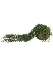 Flora Bunda 12in Artificial Thistle Stems In Ivory Ceramic Vase
