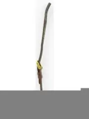Hirsch Ladies 12mm Brown Genuine Calfskin Watch band 12600210-1-12