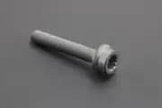 Genuine VW Audi Skoda SEAT multipoint head bolt (M10x65) N10701501