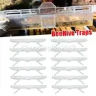 24X Bee Hives Beetle Trap Mite Blaster Beehive Traps Beekeeping Reusable Tool