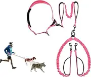 Hands Free Dog Leash, Double Leash for Running Comfortable Walking Jogging Training Hiking, Long Padded No Tangle 360° Swivel Clasp Adjustable Dual Lead Leashes, Pink