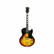 Axiom Columbia Archtop Electric Guitar - Sunburst