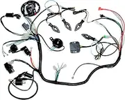 BLYGO Electric Start Engine Wiring Harness Loom+ Light 150cc 250cc Quad Bike ATV Buggy