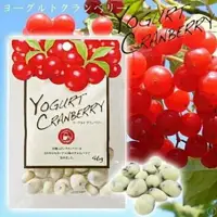 在飛比找樂天市場購物網優惠-大賀屋 日本製 共立食品 優格葡萄乾 優格蔓越莓 葡萄乾巧克