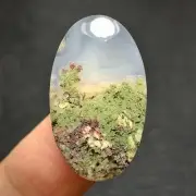 Scenic Moss Plume Agate Cabochon 26.5x15.8x6mm High Quality 20.5 ct