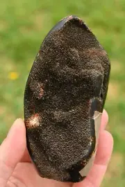 *SEPTARIAN NODULE* Tower 12.4cm 582g Ammonite Inclusions Aragonite Crystals