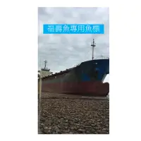 在飛比找蝦皮購物優惠-福壽魚專用手工浮標