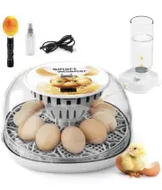 Egg Incubator for Hatching Chicks, Automatic Egg Turner Holds 12 Eggs, Smart Inc
