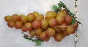 Lot of 12 Plastic Faux Grapes Muscat Color large grapes