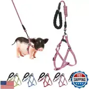 Mini Pig Harness, Adjustable Small Pig Harness with Leash Infinity Style Lead