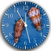 Beautiful Sea Shell Frameless Borderless Wall Clock Nice For Gifts or Decor W199