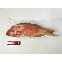 在飛比找蝦皮購物優惠-【鴻發海鮮】 印尼紅條石斑 一條400g/500g(小)、一