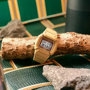 CASIO 卡西歐 G-SHOCK 新品 防撞腕錶 DW-5600PT-5