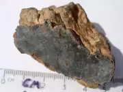 59 grams Window Cut - Bechar 008 Meteorite HED achondrite (Howardite) with a COA
