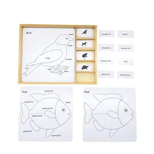【樹年】蒙氏動物植物拼圖嵌板三段卡兒童益智親子玩具 蒙氏教具蒙特梭利動物圖片幼兒園早教